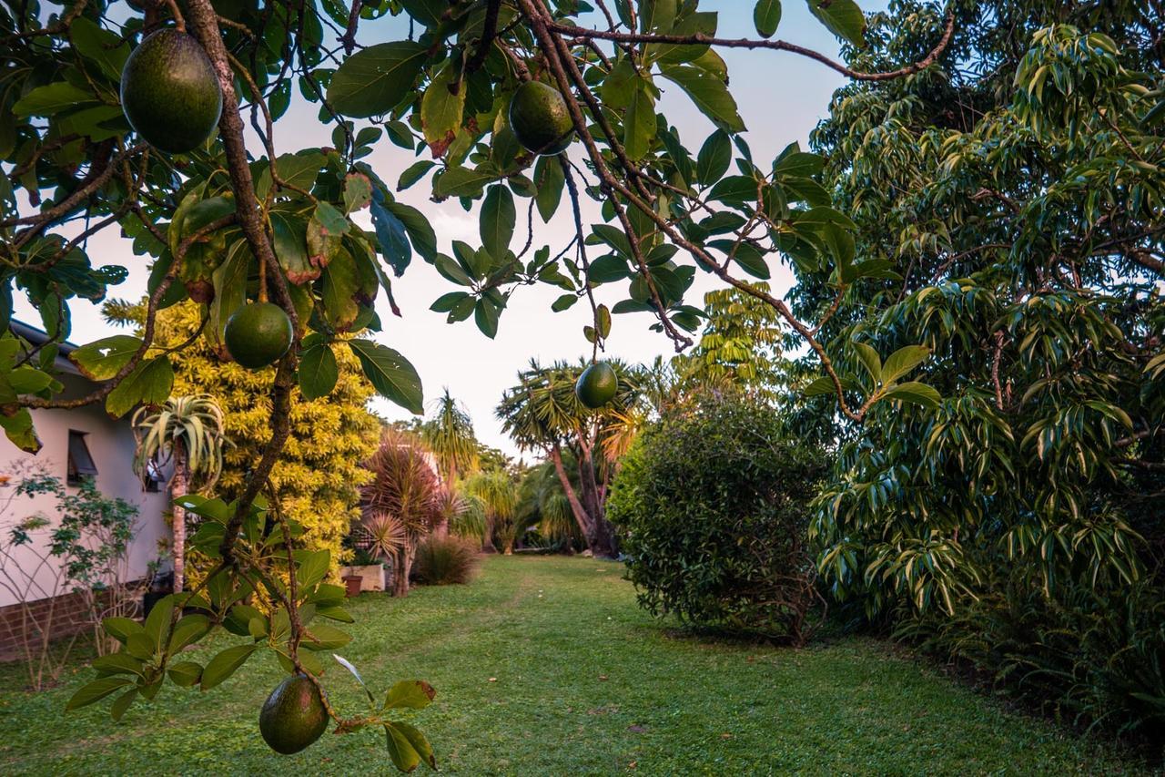 Bushbuck Lodge Southbroom Buitenkant foto